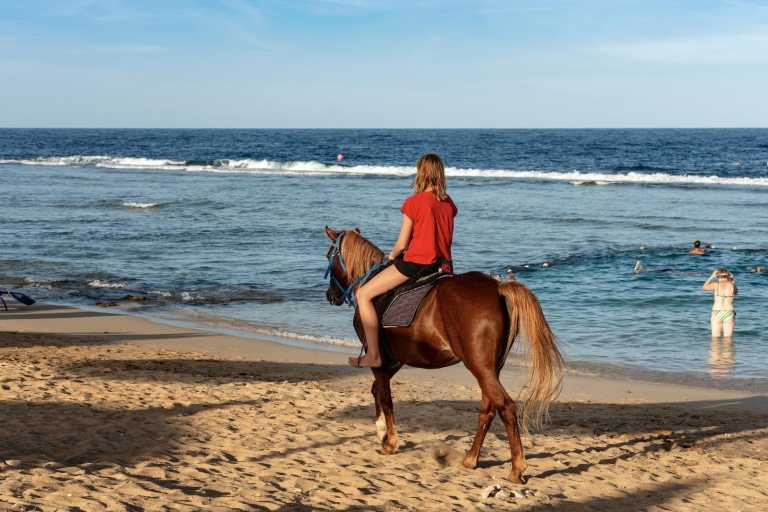 Hurghada: przejażdżka konna wzdłuż morza i pustyni z transferami2 godziny: przejażdżka konna wzdłuż morza i pustyni z transferami