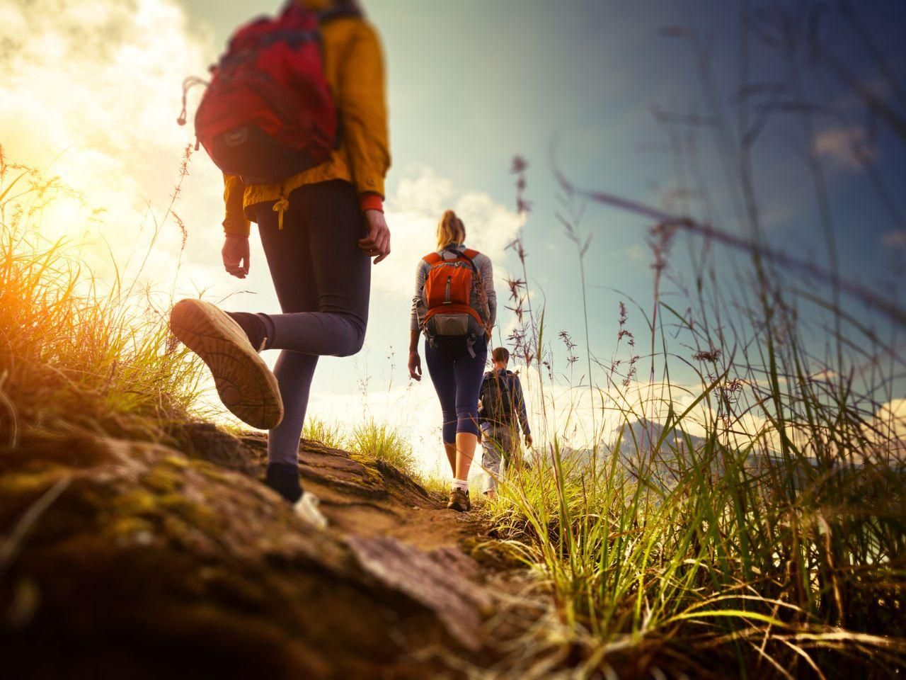 Leipzig: Rundwanderung, Kriminalfall und Outdoor-Escape-Game am Auensee