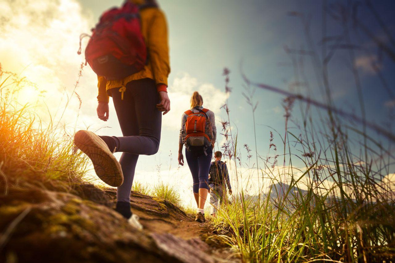 Weimar: AdventureDate, promenad med frågesport och middag för par