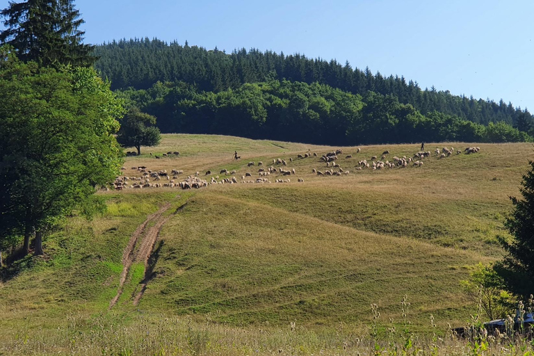 Von Bukarest aus: Rumänien, Moldawien & Transnistrien Private Tour