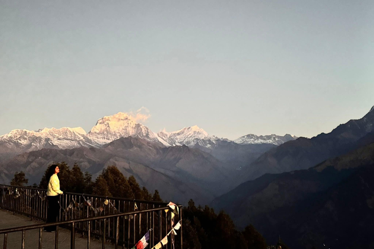 Pokhara: 4-Day Ghorephani and Poon Hill Private Trek