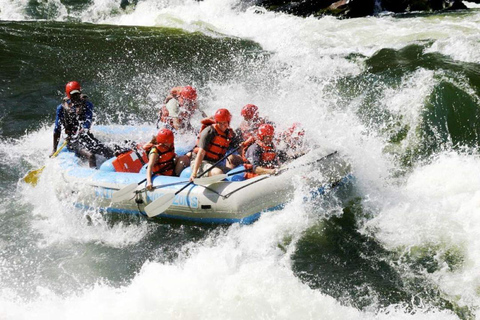 Victoriafallen: Rafting i Zambeziflodens forsande vatten