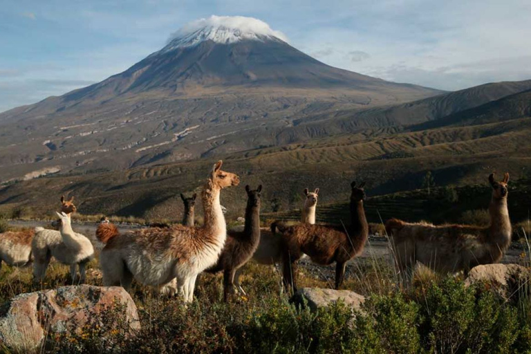 Tour in the National Reserve of Salinas and Aguada Blanca