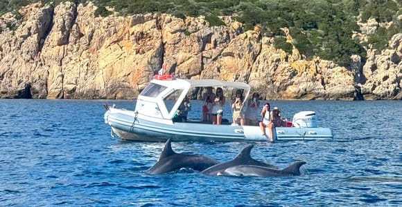 From Olbia: RIB Tour to Capo Figari with Dolphin Sighting