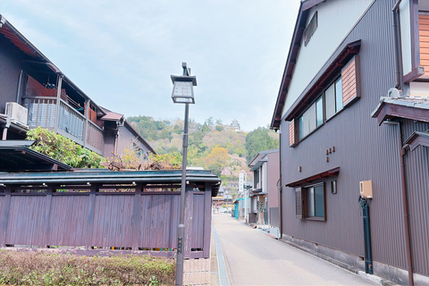 Gujo Hachiman Day Trip: Mountain Castle & Traditional Town The popular Gujyo town tour