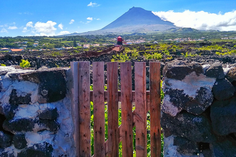 Excursión en jeep de 1 día por la isla de Pico - Azores.Excursión de 1 día en jeep por la isla de Pico - Azores