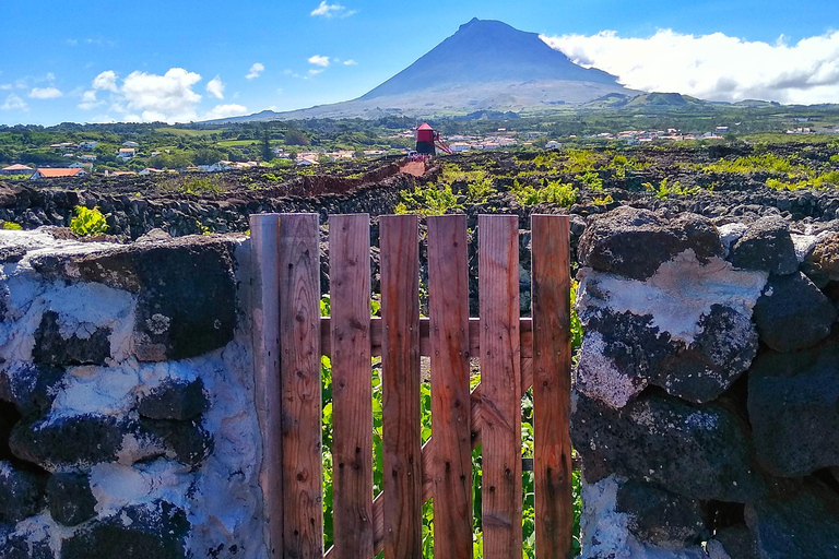 Excursión en jeep de 1 día por la isla de Pico - Azores.Excursión de 1 día en jeep por la isla de Pico - Azores