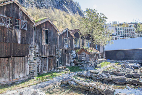 Ålesund-Geiranger-Ålesund Fjord Tour (2 hours in Geiranger)