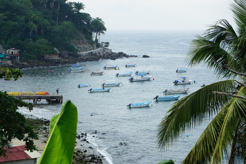 Visite de Yelapa tout compris