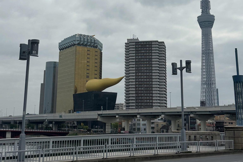 Tokyo Prestige: Luxury Chauffeur Tour with Private Guide 10 Hours Customized Tokyo Tour in Luxury Alford or Vellfire