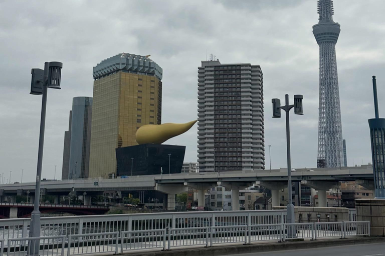 Tokyo Prestige: Luxury Chauffeur Tour with Private Guide 10 Hours Customized Tokyo Tour in Luxury Alford or Vellfire
