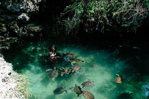 Zanzibar: Jozani forest and Salaam Cave Swim with turtles