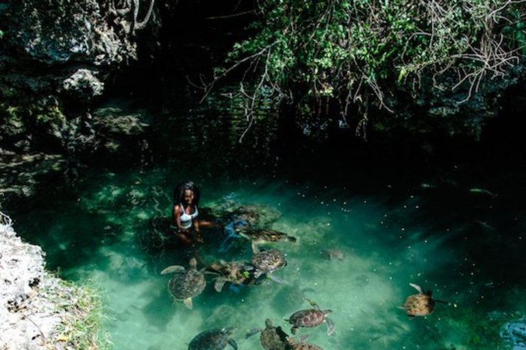 Zanzibar: Jozani forest and Salaam Cave Swim with turtles
