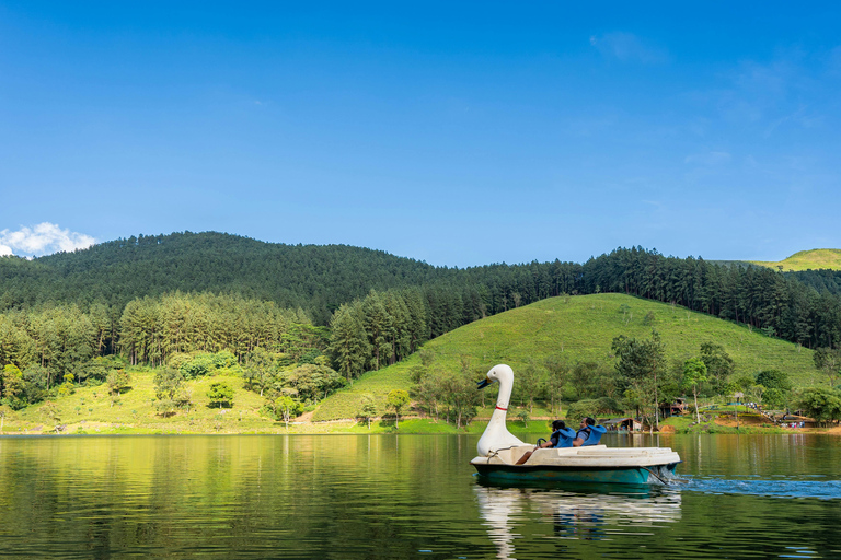 Colombo to Aberdeen Falls Train Tour with private vehicle