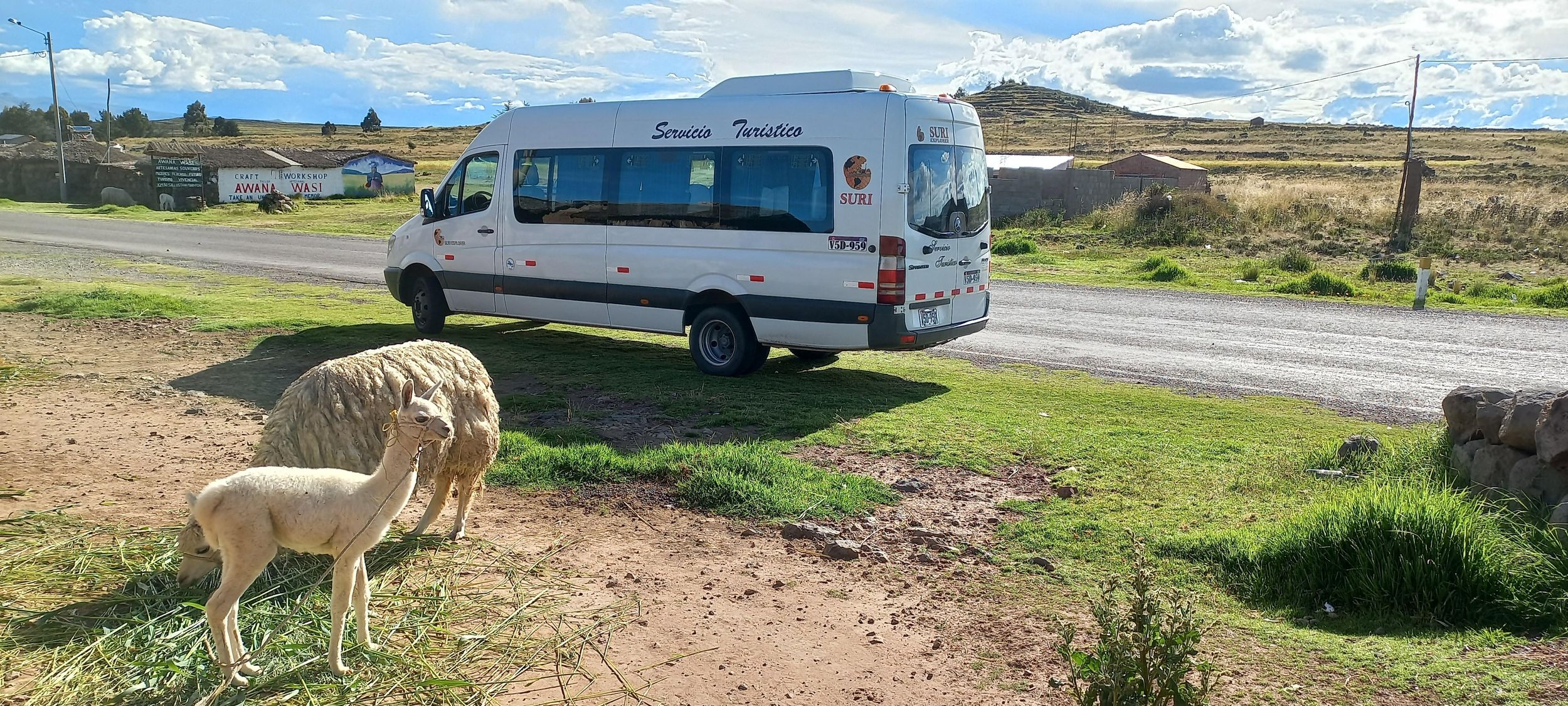 Puno: Privater Transfer von Puno zum Flughafen