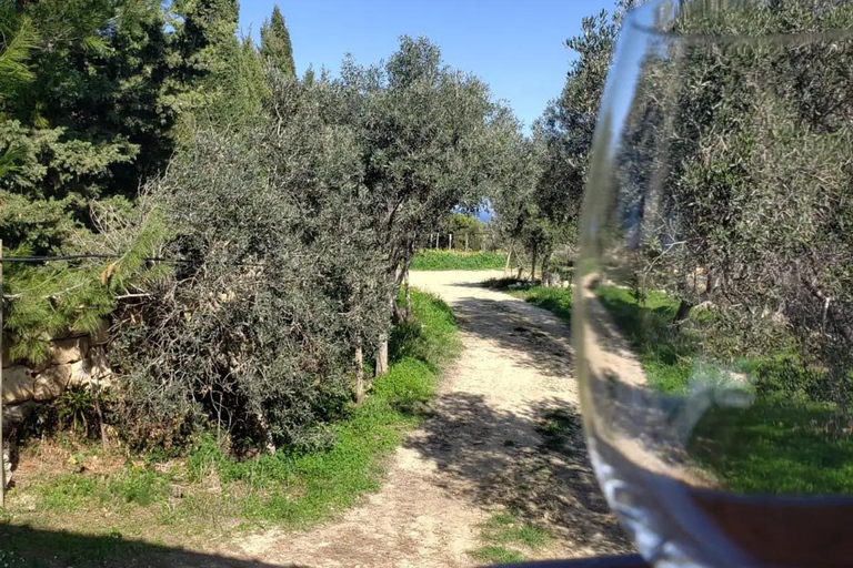 Gozo: Family Winery Estate Tour with Wine Tasting Gozo: Family Estate Tour with Wine Tasting