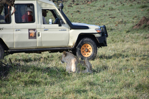 Safari clásico de 6 días por Kenia desde Nairobi