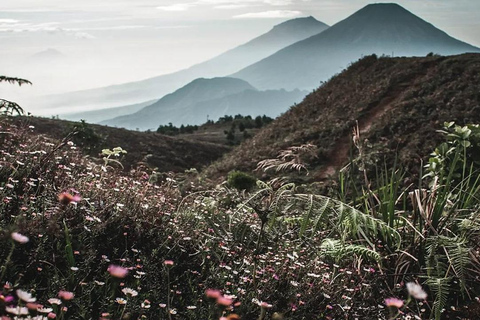 Mount Prau Tour Tageswanderung