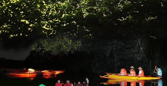 Bohol: Abatan River Firefly Watching Tour with Hotel Pickup