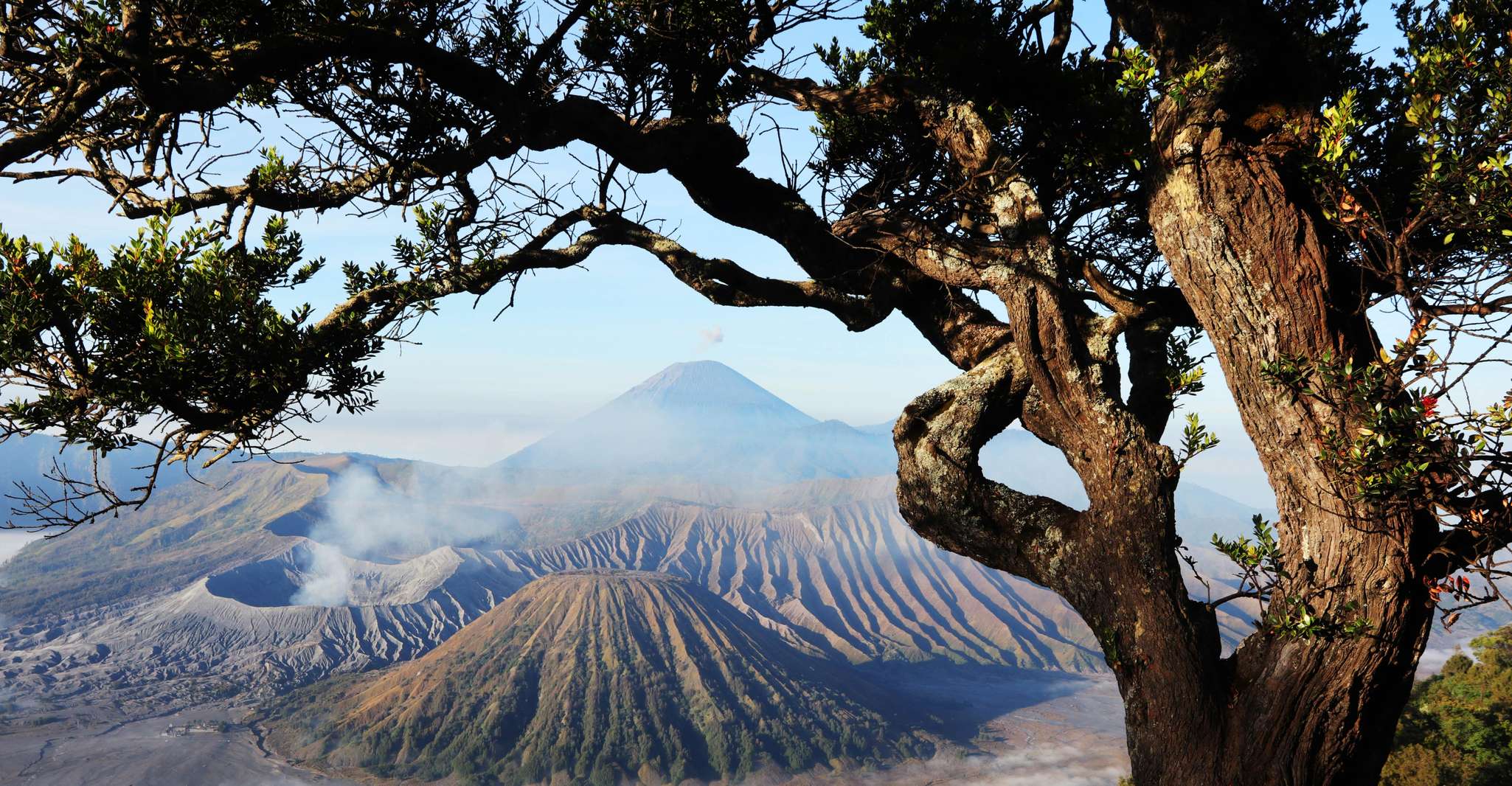 Rejoignez dans Voyage , 2D1N Mount Bromo-Ijen Crater De Malang - Hizvo