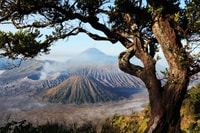 Únete en viaje , 2D1N Monte Bromo-Ijen Crater de Malang - Hizvo