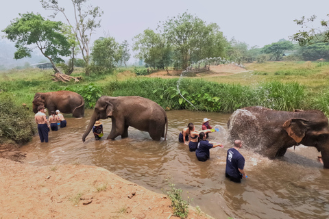 Full-day with CHIANGMAI ELEPHANT CARE and Sticky waterfall