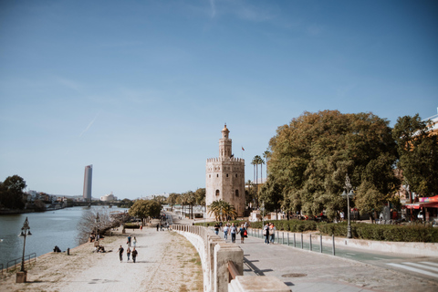 Private Horse-Drawn Carriage Ride in Seville