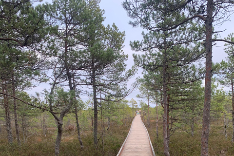 Nord de l'Estonie : circuit nature et mystère