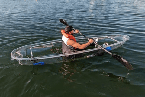 Orlando : Location de 2 heures de kayak et de planche à pagaie Clear