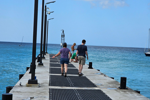 Barbados: Tour guiado panorâmico particular