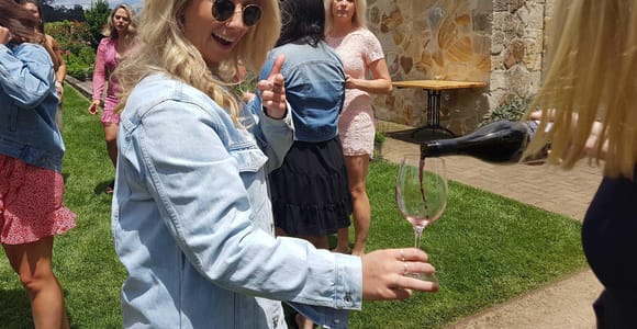 From Newcastle: Hunter Valley Beer & Wine Group Tour