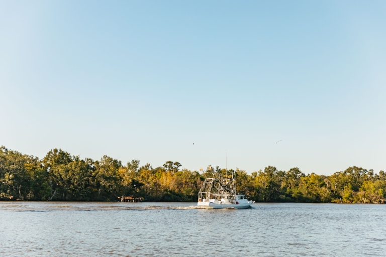New Orleans Swamp Tour łodzią wycieczkowąOdbiór i dowóz do hotelu