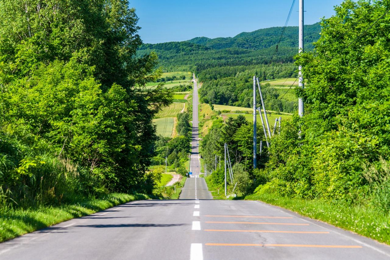 Furano & Biei Day Tour with Lavender Pillow-Making option Buffet Lunch included