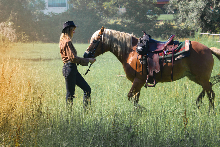 Girona: Horseback Riding with Local Bar Experience