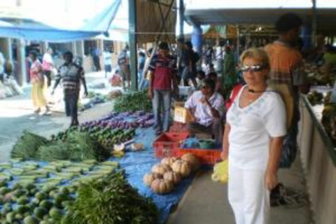 Nadi: Coral Coast Day Tour with Momi Gun Site & Kula Park