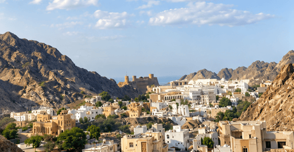 Muscat: City Tour with Local Guide and Pickup-drop off