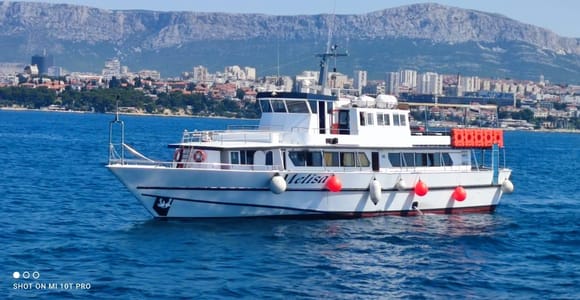 Sunset Dolphin Watching Boat Tour: Includes Dinner & Drinks