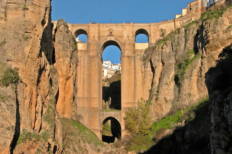 从塞维利亚出发：白色村庄与隆达一日游从塞维利亚出发：白色小镇与英格兰隆达一日游