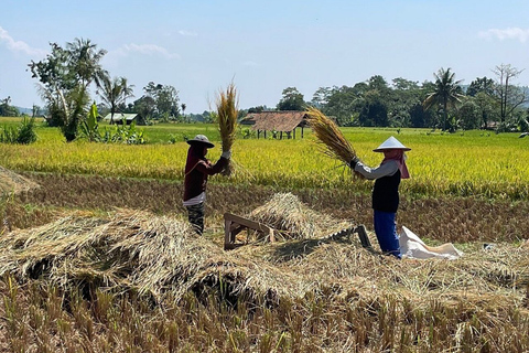 Yakarta: Volcán, campos de arroz y té, aguas termales y comida local