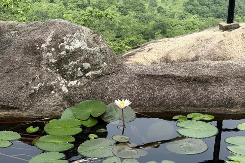 From Colombo: Gampaha District Temples & Jungle Hike Tour