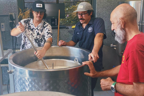 La Paz Cruisers: Craft Beer Tour with Tastings and Ceviche