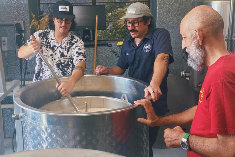 La Paz Cruisers: Craft Beer Tour with Tastings and Ceviche