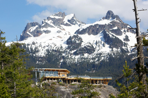 From Vancouver: Whistler Village, Sea to Sky Gondola Tour