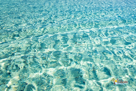 Chania: Elafonissi Pink Beach Visit with Stop in Elos Private Pick up & Drop Off : Elafonissi