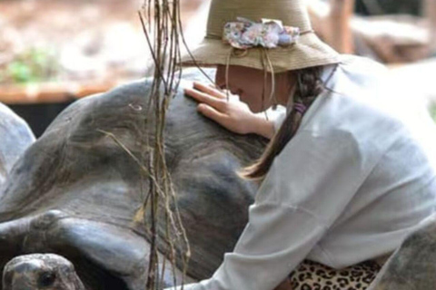 桑给巴尔：石头城、监狱岛和萨拉姆洞海龟