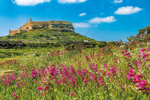 Z Malty: Gozo 4x4 Buggy Tour z lunchem i transferamiZ niemieckojęzycznym pilotem wycieczki