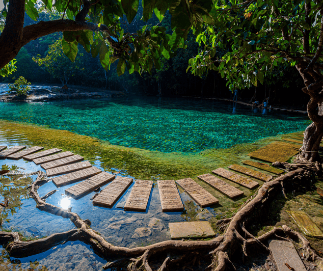 Krabi: Rainforest Jungle Tour with Emerald Pool & Hot Spring