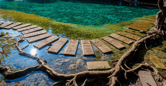 Krabi: Rainforest Jungle Tour with Emerald Pool & Hot Spring