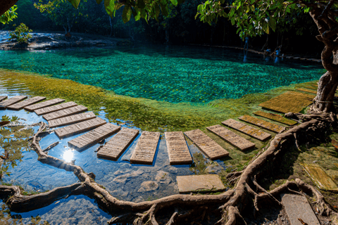 Krabi: Excursão à floresta tropical com piscina de esmeraldas e fontes termaisExcursão de 1 dia