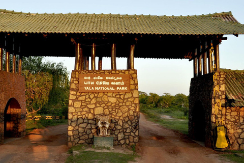 مغامرة الحياة البرية في سريلانكا لمدة 3 أيام – رحلات السفاري والطبيعة والثقافة